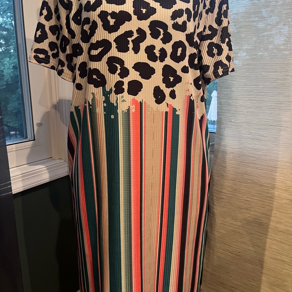 Crazy Train Leopard and Striped Above Knee Dress - Picture 2 of 9